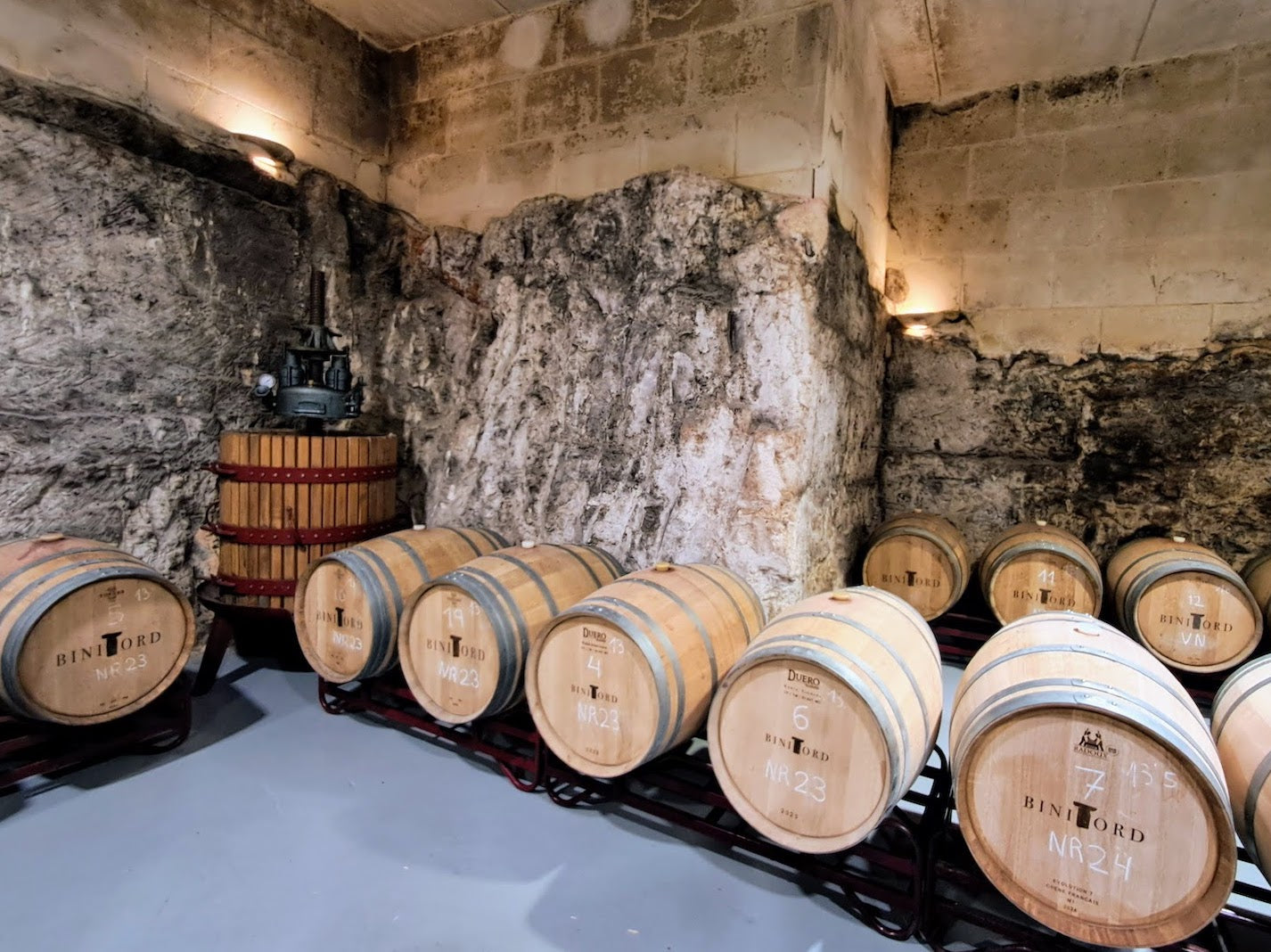 Wine barrels in the stunning underground cellar of the Binitord Winery near Ciutadella, Menorca.