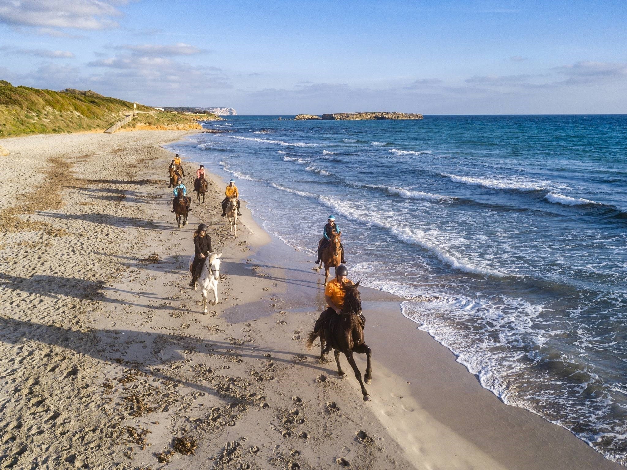 Horses in Menorca