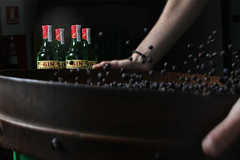 Gin Xoriguer