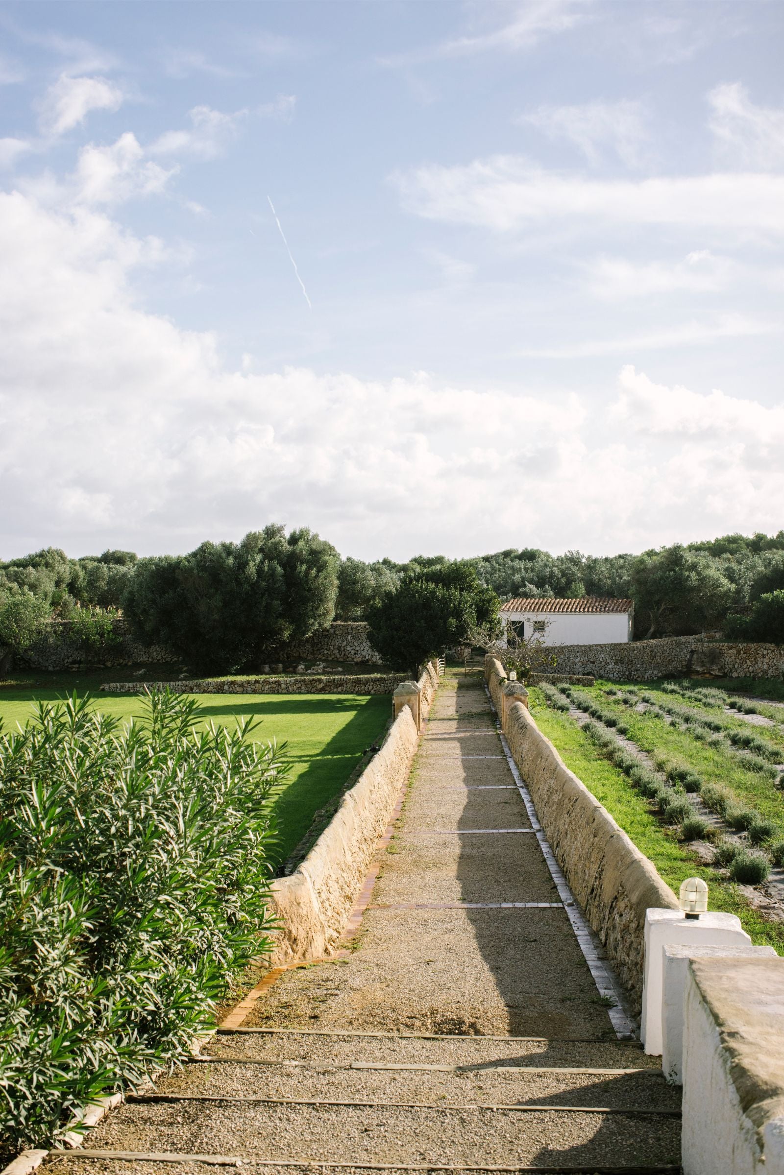 Hotel Boutique Binissaida