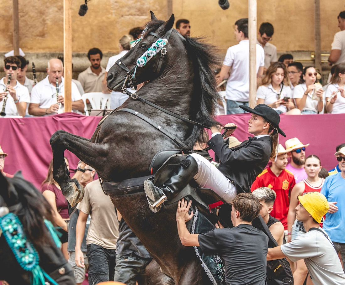 a rearing black Menorcan stallion ridden by a young lady during the traditional patron saint festivals of Mahón, Menorca
