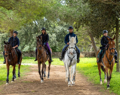 Menorca Equitación